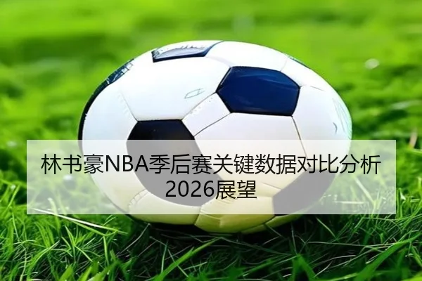 林书豪NBA季后赛关键数据对比分析2026展望