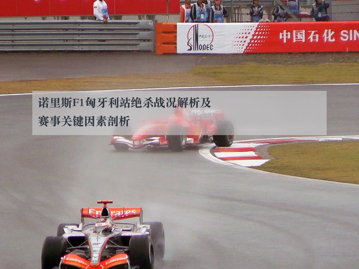 诺里斯F1匈牙利站绝杀战况解析及赛事关键因素剖析
